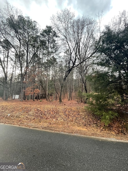 0 Connesena Rd Unit 10451264, Kingston, GA 30145
