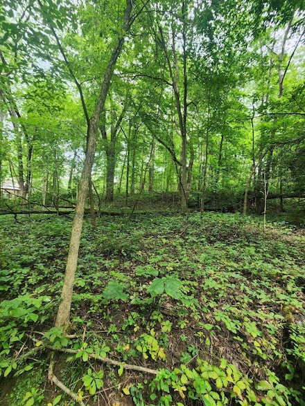 Lot 8 & 9 Parkway Dr, Dekorra, WI 53955