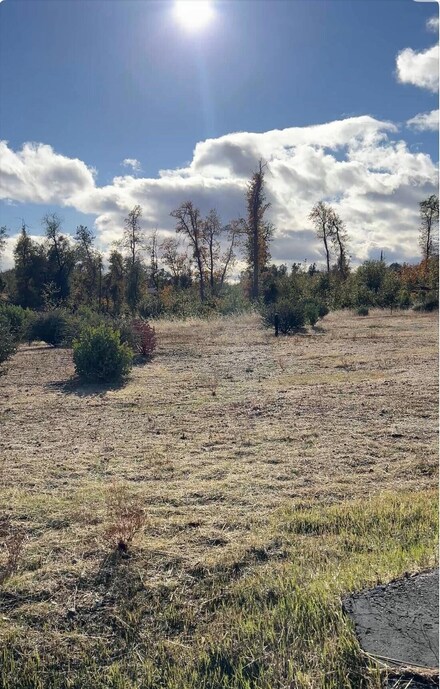 9983 Tilton Mine Rd, Redding, CA 96001