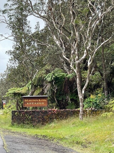 0 6th St Unit 723860, Volcano, HI 96785