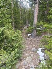 876 Bobcat Ln, Fairplay, CO 80440