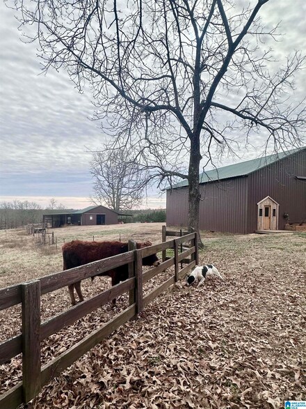 2102 County Road 609, Wedowee, AL 36278