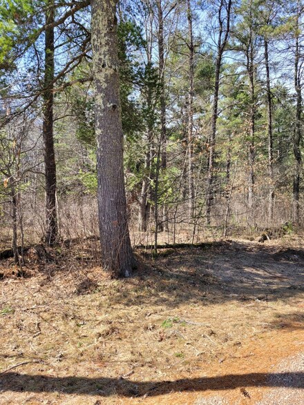 From Denton Rd Unit Across, Conover, WI 54519