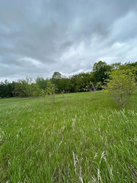 XXX Calico Trail, Becker Township, MN 56466