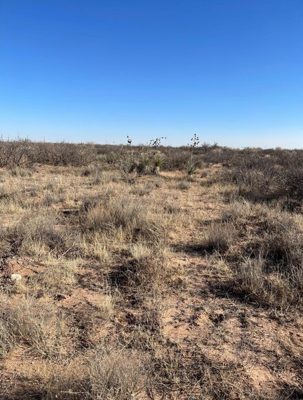 TBD Klein Ct, Clint, TX 79836