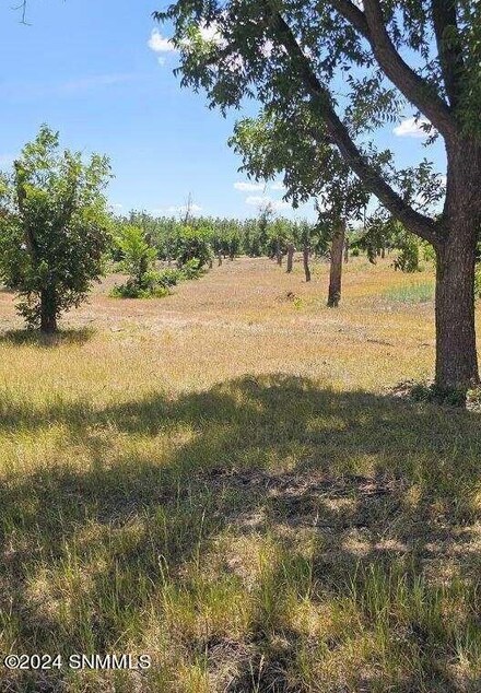 TBD Valdes Rd, Las Cruces, NM 88005