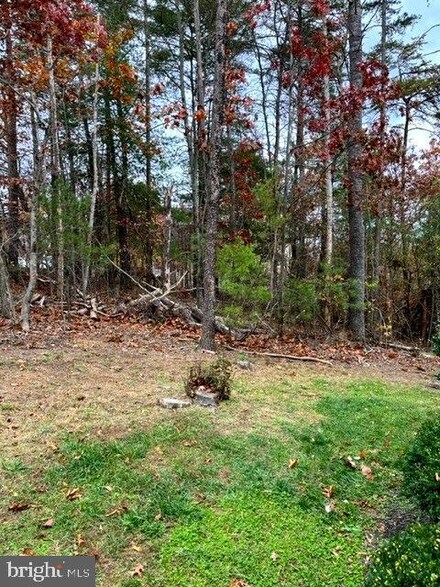 407 Lakeview Dr, Whitacre, VA 22625