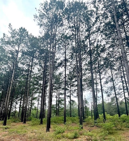 57 Upper Vista Ridge Trail, Broken Bow, OK 74728