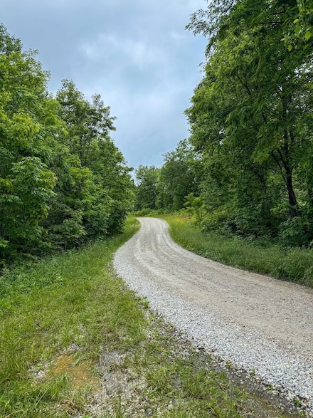 0 Thorp Ridge Unit LotWP001, Vanceburg, KY 41179