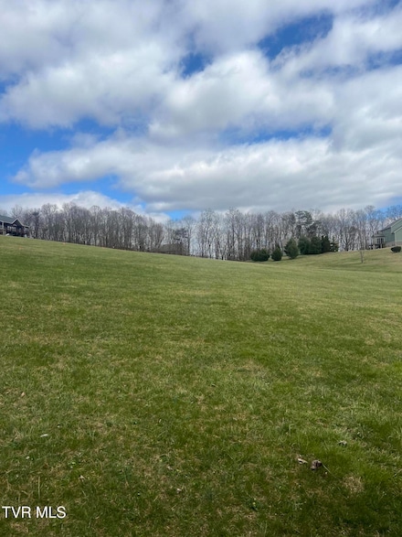 Lot 1rb Bacon Branch Rd, Jonesborough, TN 37659