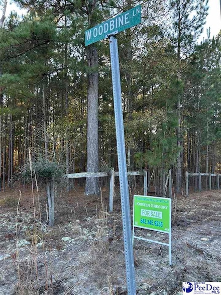 0 Bridlewood Rd, Cheraw, SC 29520