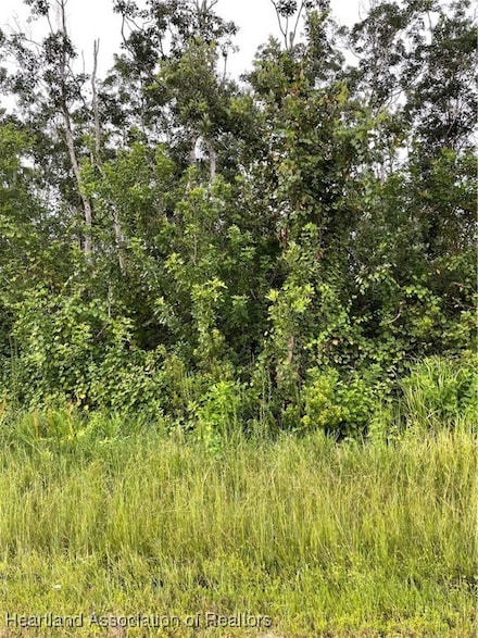 8046 Ancha St, Sebring, FL 33872