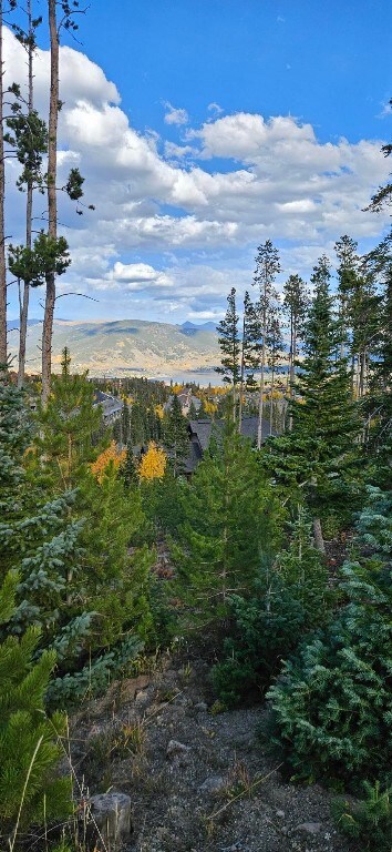 10 Stephanie's Way, Wildernest, CO 80498