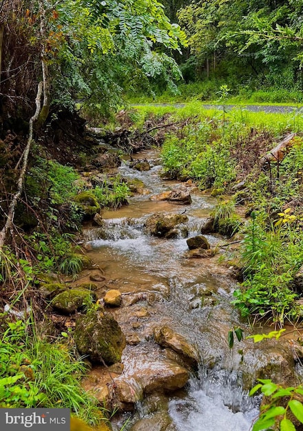 2563 Dumpling Run Rd, Moorefield, WV 26836