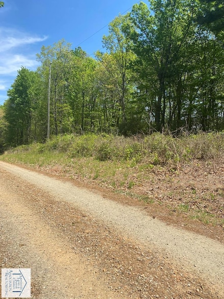 Lot 12 Timber Run Dr, Woolwine, VA 24185