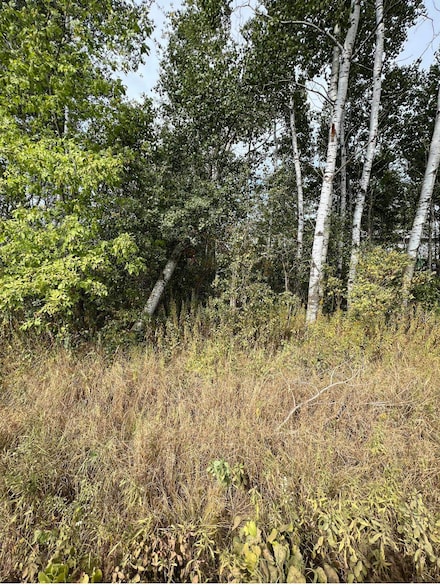 Lot One Kraus St, Marshfield, WI 54449