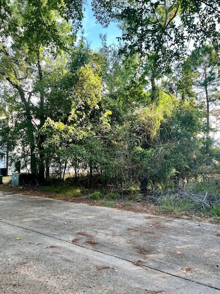 3106 Poe Dr, Montgomery, TX 77356