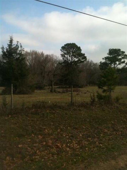 0 County Road 1214 Unit 109494, Redwater, TX 75573