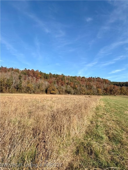 TBD Cr 4730, Hagarville, AR 72839