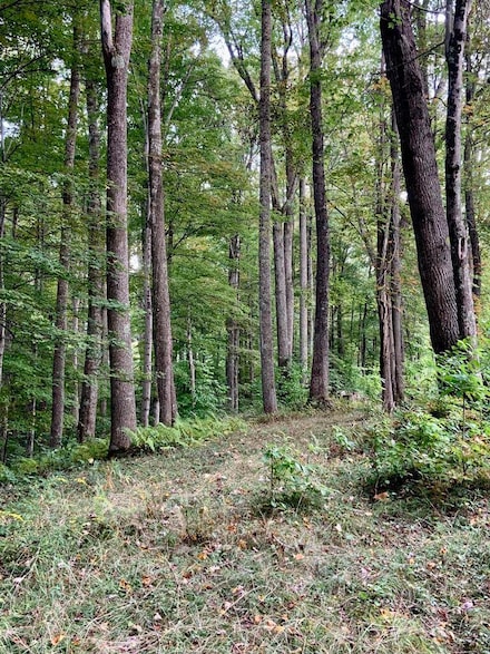 Lots32+1 Dominick Cir Unit Lots32+1, Summersville, WV 26651