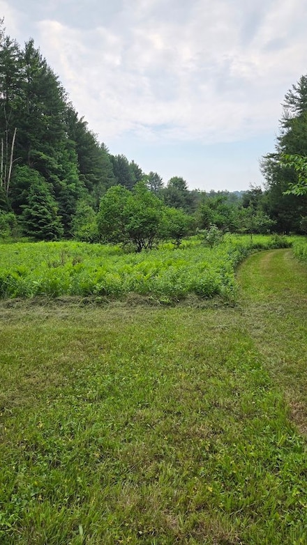 00 McGuire Run Rd, Tidioute, PA 16351