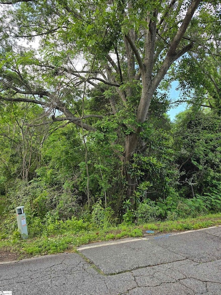 307 S 225, Whitney Heights, SC 29303