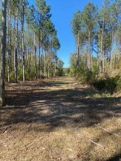 0 County Road 600, Booneville, MS 38829