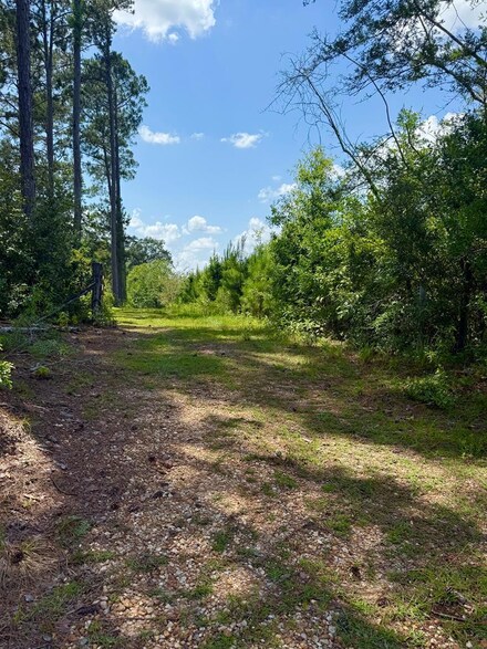 77151 N River Rd, Kentwood, LA 70444