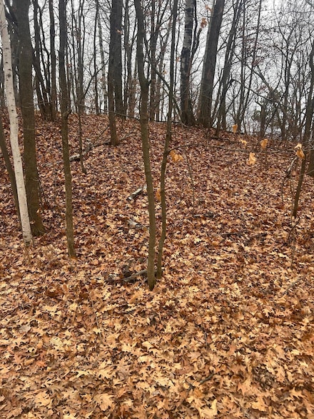 TBD Golf Course Cir, Cushing, MN 56443