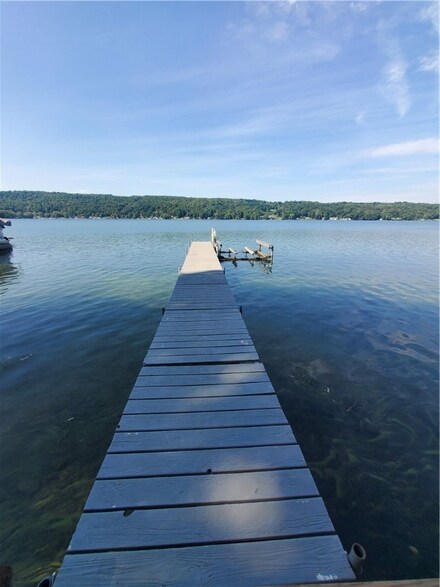 457 Fire Lane 33, Moravia, NY 13118