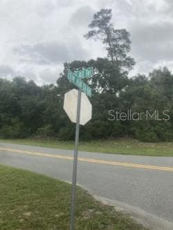 00 SW 158 St, Ocala, FL 34473