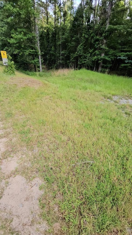 0 Barnes Mill Rd Unit 221632, Hamilton, GA 31811