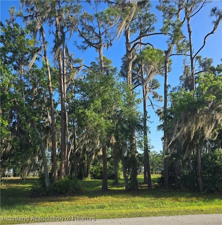 12 Mallard Dr, Lake Placid, FL 33852
