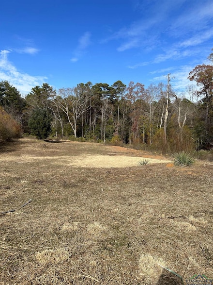 1007 Windy Ridge, Longview, TX 75604