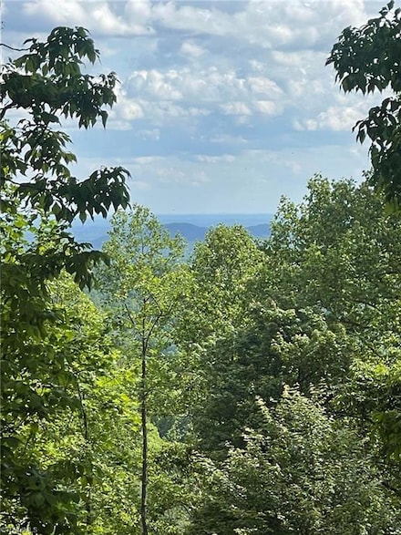 Lot 11 Dogwood Rd, Moravian Falls, NC 28654