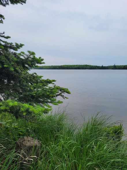 ON Pardee Lake Ln E, Winchester, WI 54557