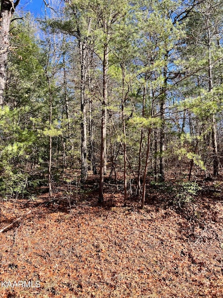 117 Natchez Cir, Crossville, TN 38558