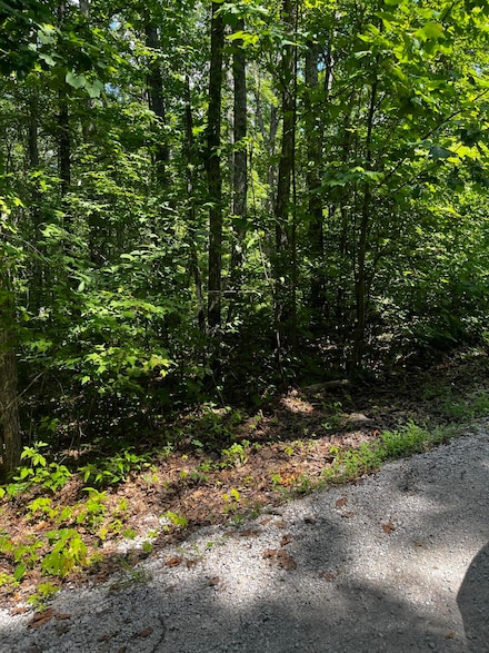0 Ryan Rd Unit 25015843, Wellington, KY 40387