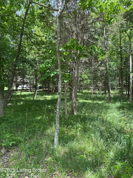 1603 Oakland Ct, La Grange, KY 40031
