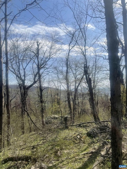 Lot 17 Woods Gap Rd, Yancey Mills, VA 22932