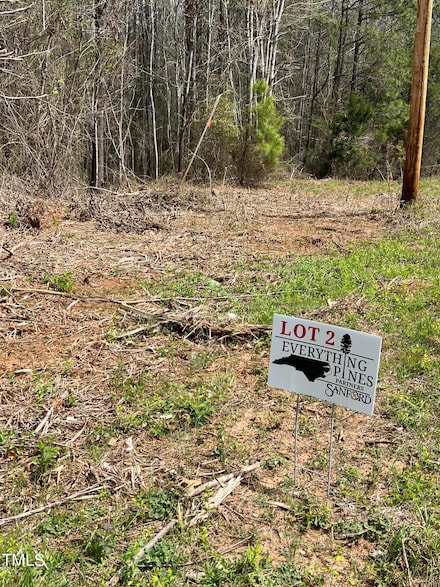 Lot 2 Elmer Moore Rd, Siler City, NC 27344