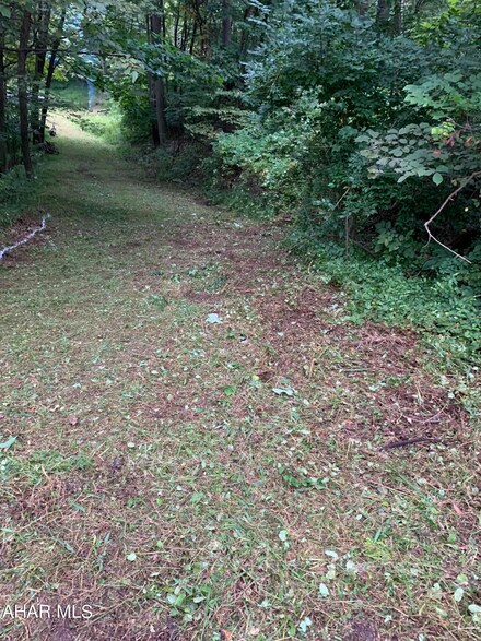 205 Lilly Rd, Duncansville, PA 16635