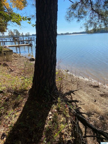 Lot 42B County Road 667, Cedar Bluff, AL 35959