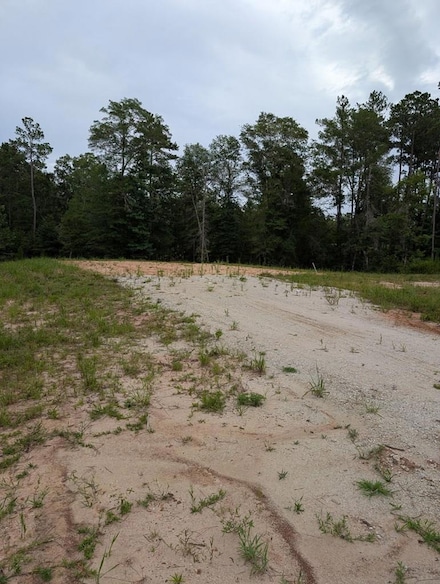 R31880 Fm 1669, Huntington, TX 75949