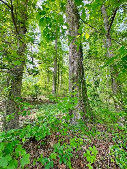 Lot 1 & 2 Saint John St, Clifton Forge, VA 24422