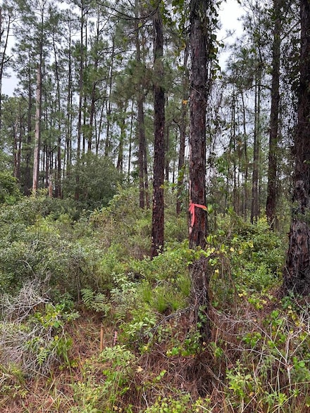 5900 Sally Ave N, Lehigh Acres, FL 33971