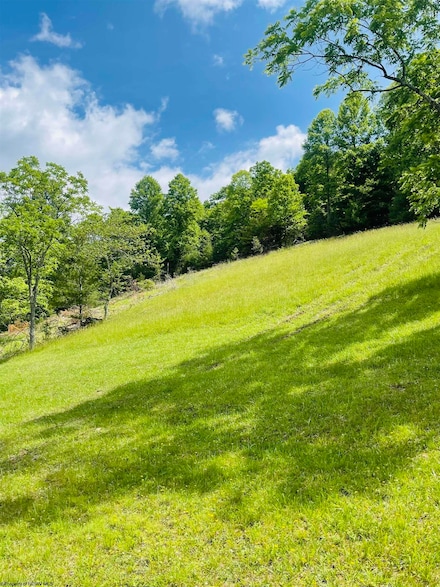 873 Arlie Simmons Rd, Franklin, WV 26807