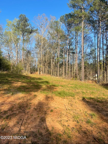 0 Old Benton Rd Unit 179774, Juliette, GA 31046