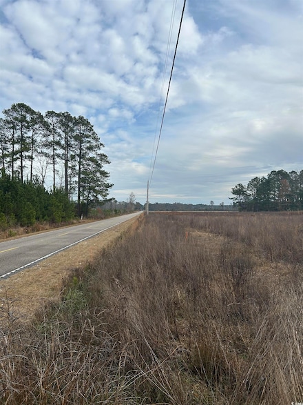 TBD Williams Hill Rd, Hemingway, SC 29554