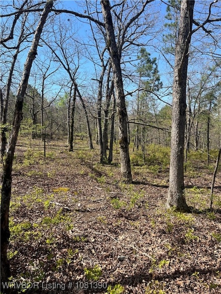 Tract 2 K Trail, Talihina, OK 74571